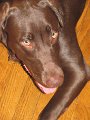 2009_10_01 Hemi_0797
